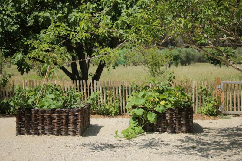 Entretien et suivi de jardins méditerranéens